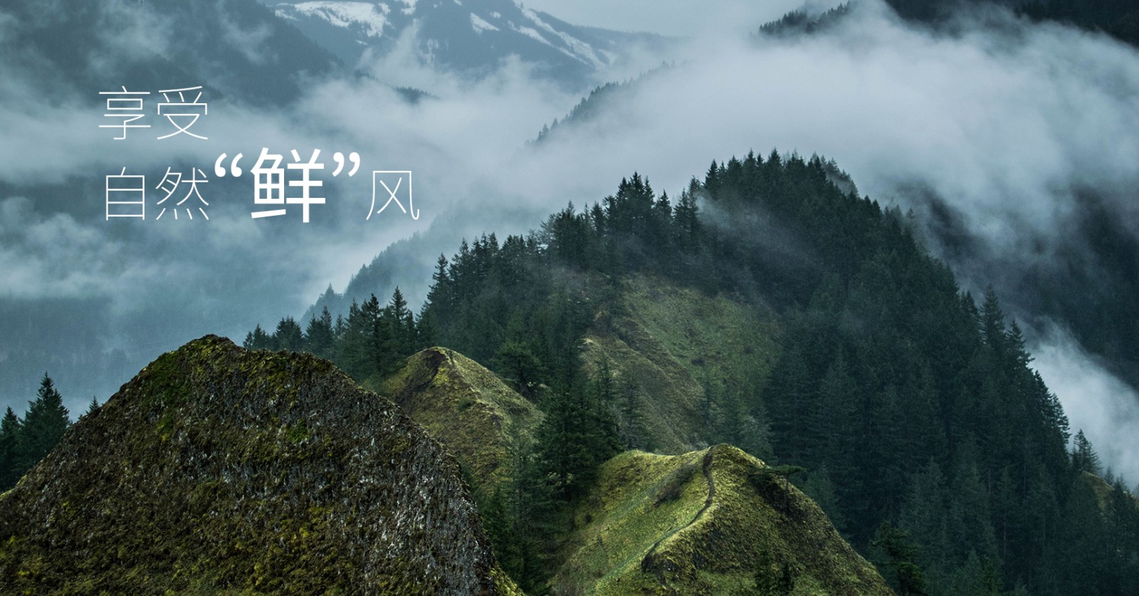 颯多大的、爽.jpg